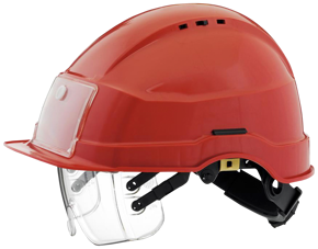 Bilde for kategori Hodevern